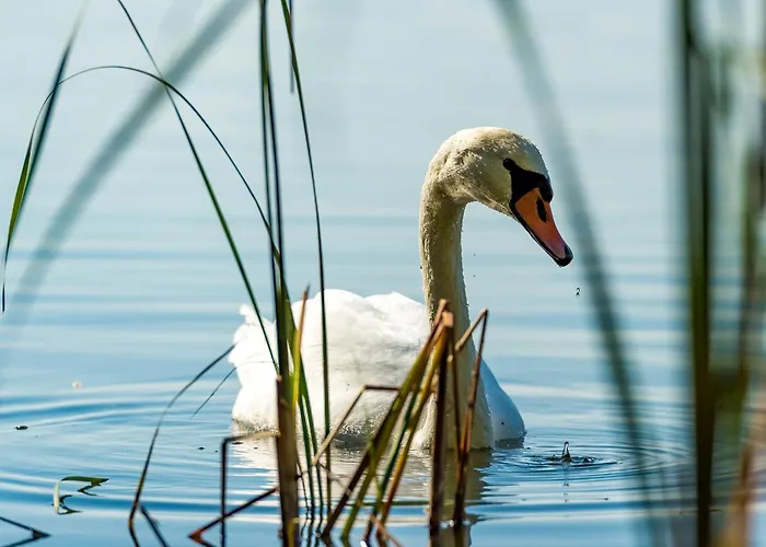 Schloss Blankensee Exklusiv Villa Trebbin