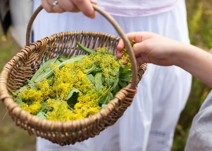 Villa Schloss Blankensee Exklusiv Trebbin